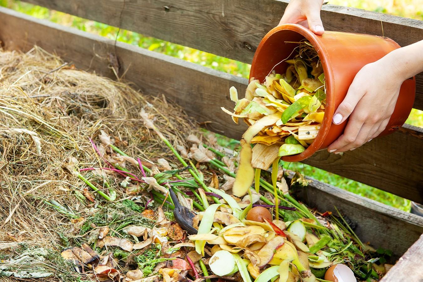 32 Fatos Sobre Composto